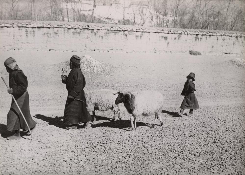 图片[1]-photographic print(black and white); album BM-1986-0313-0.1.107-China Archive